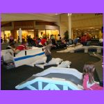 Climbing on Dolphins.jpg